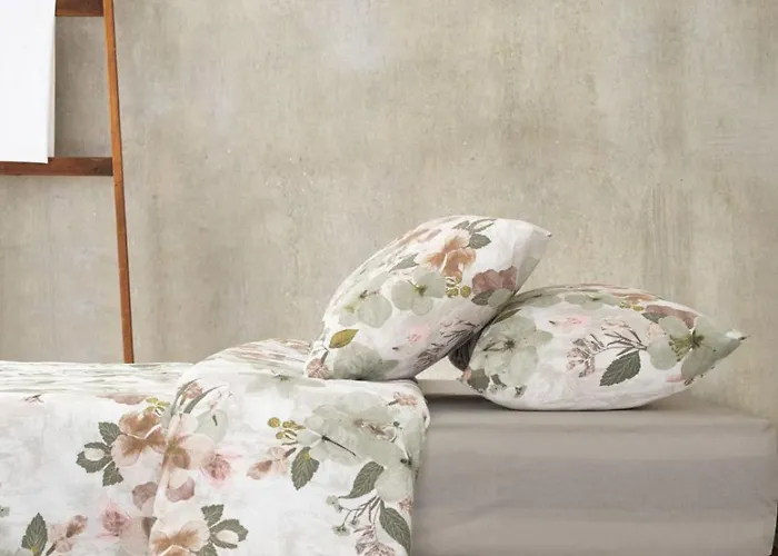 Studenti فندق 5*